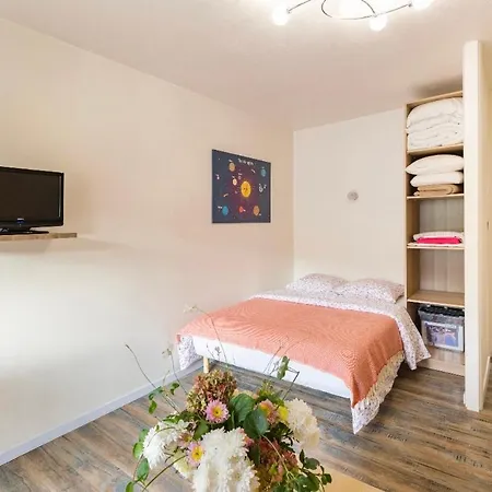Location Petit F1 Neuf A Châtel-Guyon